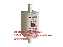 	Cầu chì Efen - Efen Fuse - Cầu chì sứ 
