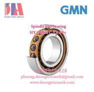 Bạc đạn/Vòng Bi GMN  HY S 6000 C TA P4+ | Bearing GMN HY S 6000 C P4 VK
