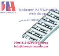 Bạc đan trượt INA BF 12040/0612 chính hãng có sẵn | Bearing BF12040 (INA)