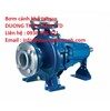 Bơm Cánh khế jabsco / jabsco viet nam /  Nhà phân phối jabsco tai viet nam  / cung cấp jabsco tai viet nam