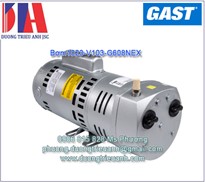 Bơm bánh răng Gast 1023-V103-G608NEX | 