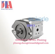 Bơm bánh răng trong Eckerle EIPC3-032RA23 chính hãng