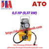 /UserUpload/Product/Bom-dien-thuy-luc-Ato-750W-10000-psi.png