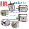 Bơm thủy lực Eckerle EIPH  | Bơm bánh răng Eckerle EIPC | Bơm EIPS Eckerle chính hãng Germany