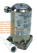 COPRIM Viet Nam - COPRIM Valve - Thiet bi COPRIM