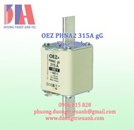 Cầu chì OEZ PHNA2 315A gG 40412 | Nhà phân phối cầu chì OEZ chính hãng tại Việt Nam