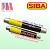 Cầu chì SIBA 3000613.25 25A 10/24kV có sẵn - giao ngay