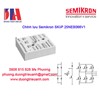 Chỉnh lưu Semikron SKiiP 25NEB066V1