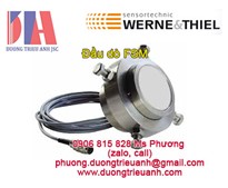 Đầu dò Werne & Thiel | Werne&Thiel Viet Nam | Cảm biến đo Werne&Thiel | Werne&Thiel FSV, FS1, FSA, FSM, FSH 