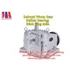 Delroyd Worm Gear | Giảm tốc Delroyd |  Double Worm Gearing Delroyd