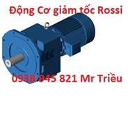 Động Cơ giảm tốc Rossi / Rossi Viet Nam 