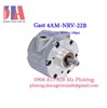 Động cơ khí nén Gast 4AM-NRV-22B 4vane 1.7Hp 1.27Kw 100psi