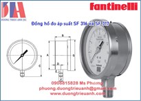 Đồng hồ đo áp suất Fantinelli SF316 | Fantinelli SF317 | Fantinelli Việt Nam | Dong ho Fantinelli VN | Solid front safety pressure gauges Fantinelli