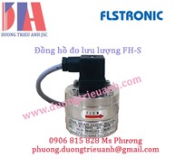 Đồng hồ đo lưu lượng FLSTRONIC FH-S