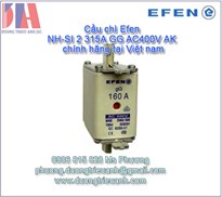 Efen NH-SI 000 6A GG AC400V AK | Cầu chì Efen NH-SI 160A | Efen chính hãng NH-SI 3 / 315A gG
