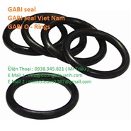 GABI seal / GABI seal Viet Nam / GABI O - Rings 