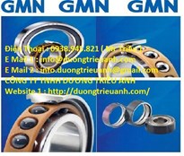 GMN bearing / GMN Bearing USA / Vòng bi GMN / Bạc đạn GMN