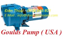 Goulds Pump ( USA )
