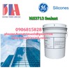 Keo trét kính Silicone IGS3713 Sealant (trung tính)