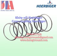 Khớp nối Hoerbiger | Cone coupling Hoerbiger