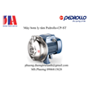 /UserUpload/Product/May-bom-ly-tam-Pedrollo-CP-ST-1.png