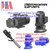Nhà phân phối bơm ly tâm, bơm làm mát chính hãng Brinkmann