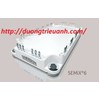 SEMIKRON cung cấp các mô-đun IGBT (Transitor lưỡng cực cổng cách điện) trong các gói SEMITRANS, SEMiX, SKiM, MiniSKiiP và SEMITOP 