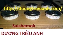Thiết bị chỉnh lưu bán dẫn Saishemok MTS60A1200V - Công ty Dương Triều Anh