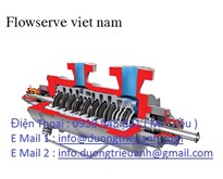 Valves  Flowsever / Flowsever Việt Nam /  Pump  Flowsever  / Thiết bị Flowsever 