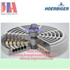  Van tấm Hoerbiger CS | Van Hoerbiger CS chính hãng