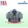 Van vòng cao áp Hoerbiger HPV 