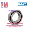 Vòng Bi GMN SM 6008 C TA | Spindle ball bearing GMN HY SM 6008 C TXM P4+ | 