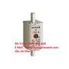 /UserUpload/Product/-Cau-chi-Efen-Efen-Fuse-Cau-chi-su-.jpg