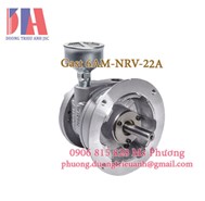 Air Motor Gast 6AM-NRV-22A 8 vane | Động cơ khí nén Gast 6AM-NRV-22A