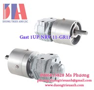 Air motor Gast 1UP-NRV-11-GR11