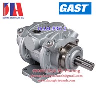 Air motors Gast 16AM-FRV-2 | Gast 16AM-FRV-32 (AD770)