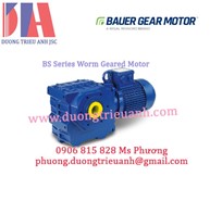 Bauer Gear Motor BS06-44V/D08MA2/C3-SP | Động cơ bánh răng Bauer BS06-44V/D08MA2/C3-SP