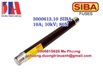 Cầu chì Siba 3001213.125  125A 6/12kV 292mm