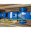 IMO PUMP product / IMO PUMP Viet Nam