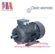 Nhà phân phối Omec motor OMT4-355LX-02P 355kw chính hãng